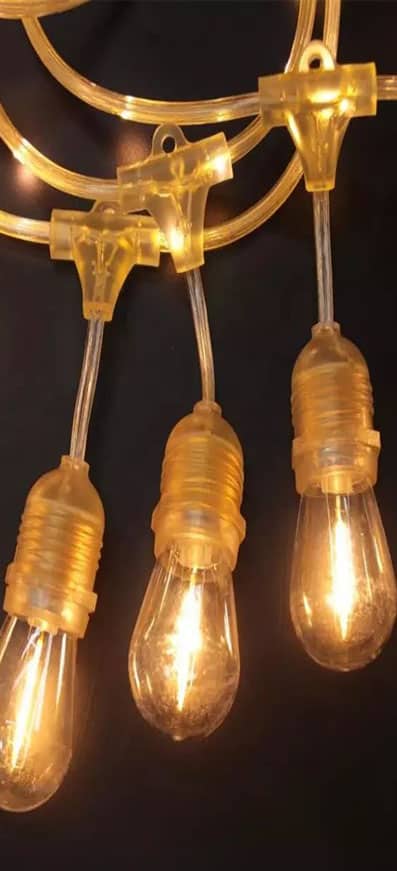Customized e26 e27 48ft S14 clear 10 bulbs indoor festoon lighting outdoor garden